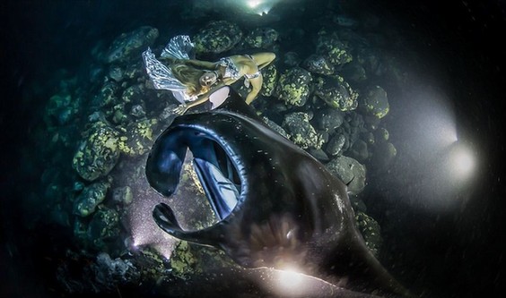 Manta's last dance　　(Source: China Daily)