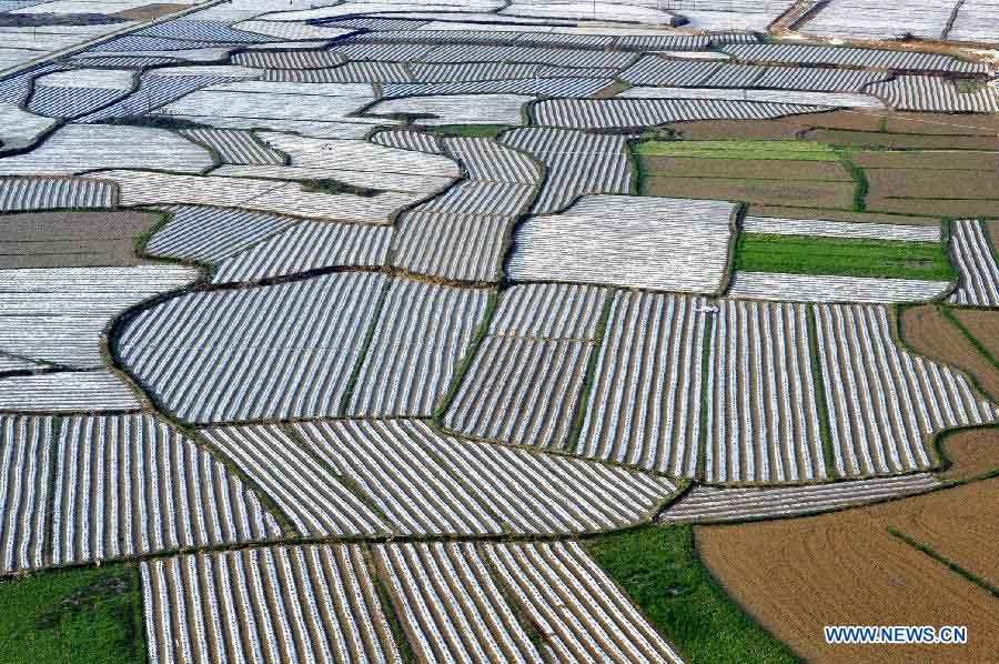 Photo taken on March 6, 2013 shows the scenery of croplands in Jinlong Village of Xinjing Township in Jingxi County, southwest China's Guangxi Zhuang Autonomous Region. (Xinhua/Zhao Jingwu)