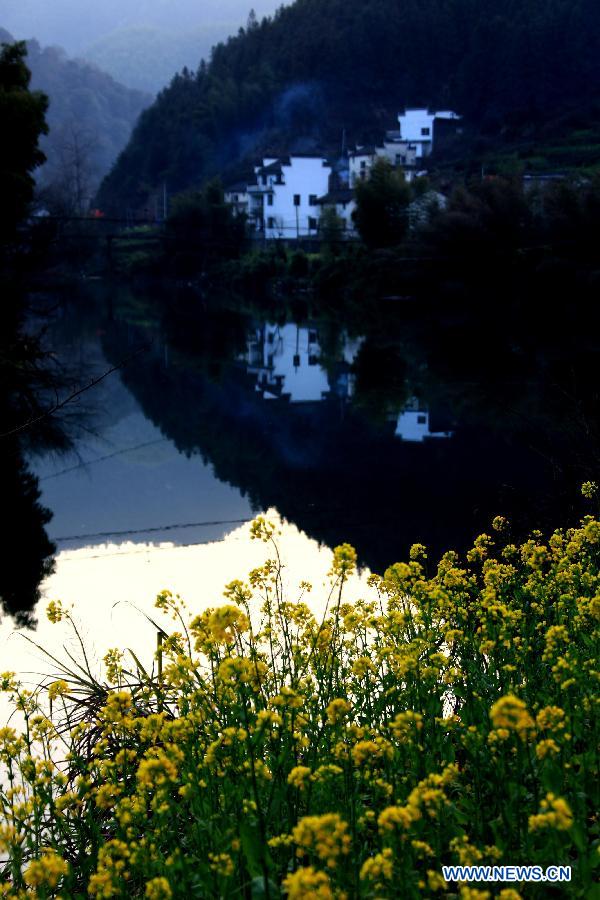 Cole flowers are in full bloom beside a lake in Liukou Town of Xiuning County, east China's Anhui Province, March 4, 2013. (Xinhua/Shi Guangde) 