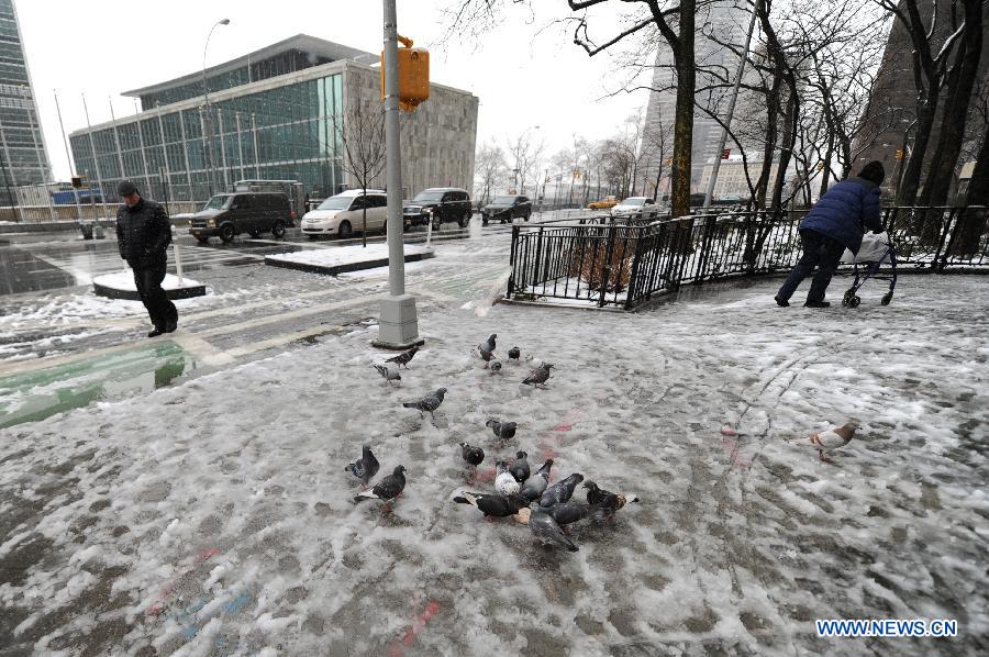 People walk past some pigeons on a snowy day in New York, on March 8, 2013. A late winter snowstorm hit New York on Friday. (Xinhua/Niu Xiaolei) 