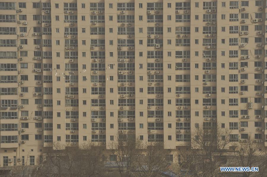 A flock of pigeons fly in front of a building in sandy air in Beijing, capital of China, March 9, 2013. A cold front brings strong wind as well as sand and dust to Beijing on March 9. (Xinhua/Lu Peng)