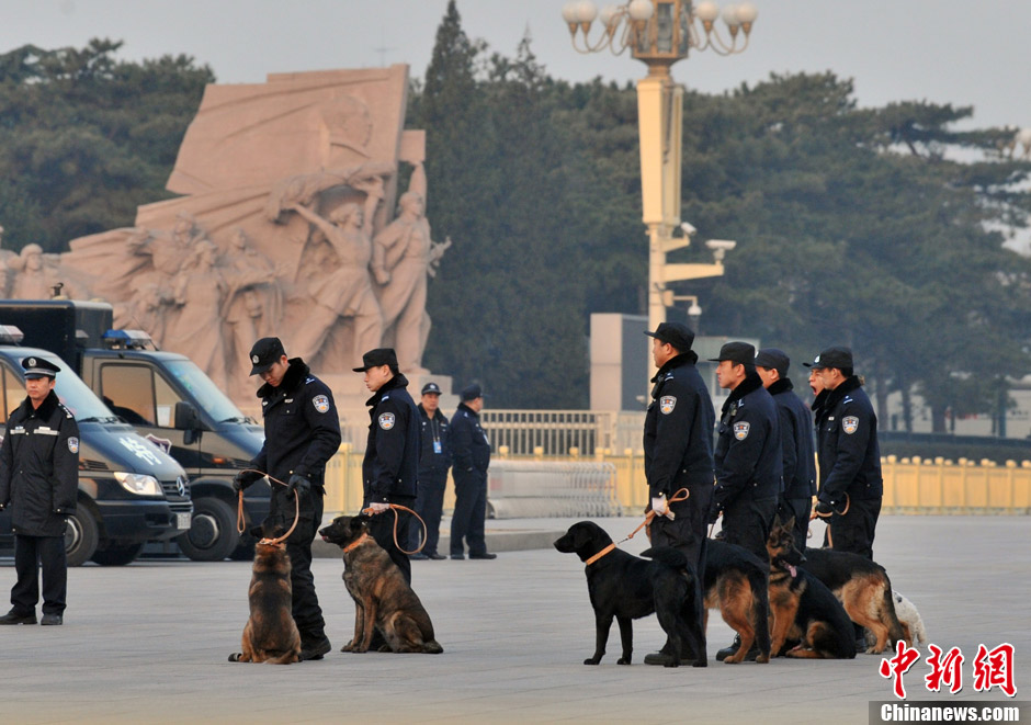 Photo shows police dogs are standing by. (Chinanews.com/ Jia Guorong)