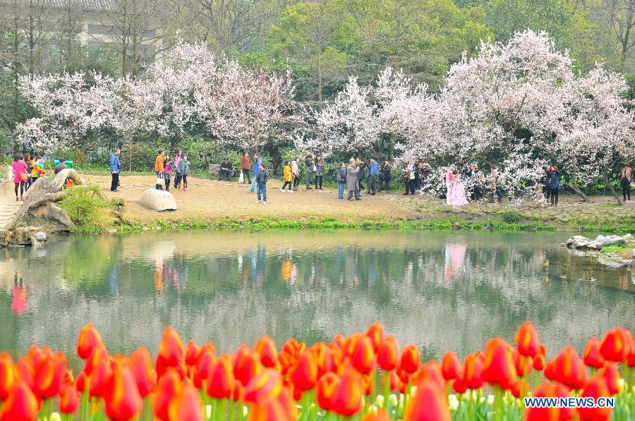 Tourists enjoy cherry blossoms on the bank of the West Lake in Hangzhou, capital of east China's Zhejiang Province, March 11, 2013. (Xinhua/Zhu Yinwei) 