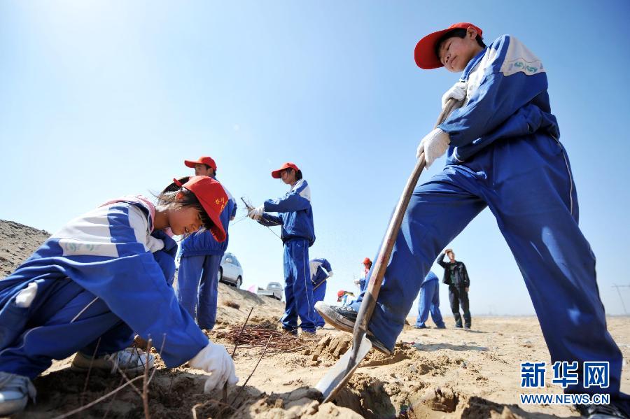 Students from a middle school in northwest China's Ningxia Hui autonomous region clear the sand land for tree-planting, April 13. 2012. (Photo/Xinhua)