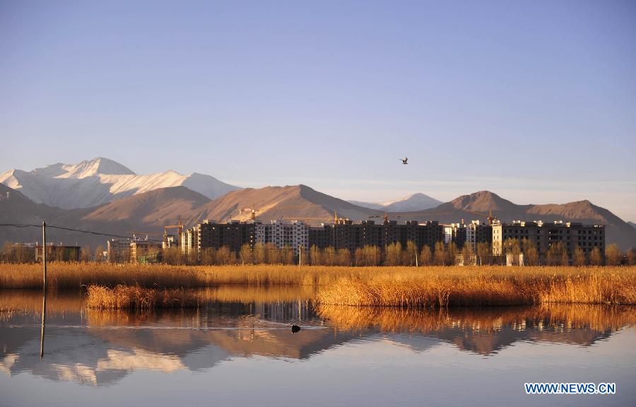 Photo taken on March 14, 2013 shows the scenery at the Lhalu wetland state nature reserve in Lhasa, capital of southwest China's Tibet Autonomous Region. (Xinhua/Liu Kun)