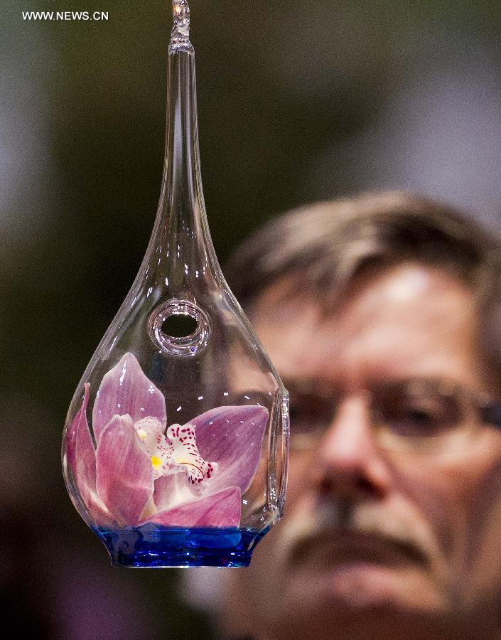 A man views a flower in a bottle during the 17th Canada Blooms exhibition at the Canadian National Exhibition center in Toronto March 15, 2013. As Canada's largest flower and garden festival, the 10-day event kicked off on Friday and was expected to attract over 200,000 visitors. (Xinhua/Zou Zheng)