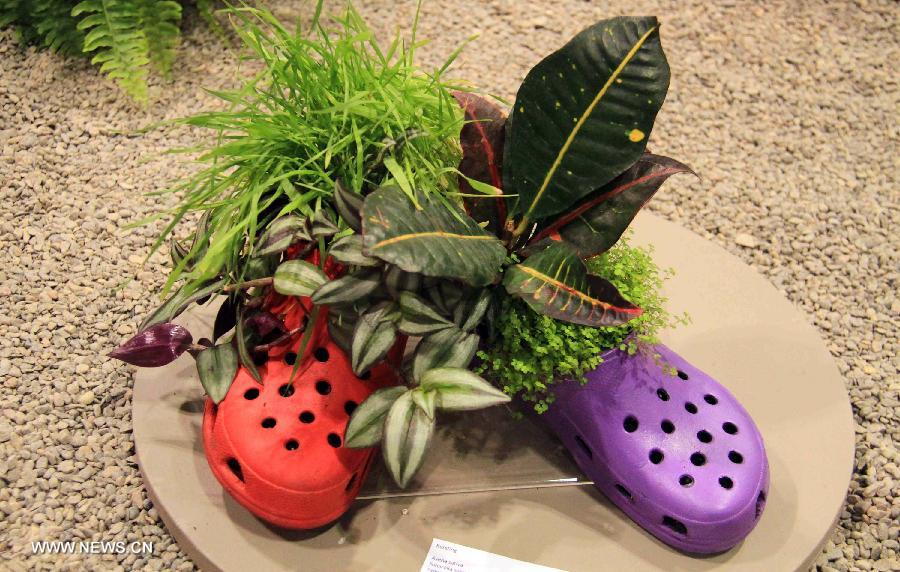 Flowers planted in a pair of shoes are on display during the 17th Canada Blooms exhibition at the Canadian National Exhibition center in Toronto, Canada, March 15, 2013. As Canada's largest flower and garden festival, the 10-day event kicked off on Friday and was expected to attract over 200,000 visitors. (Xinhua/Ma Dan)