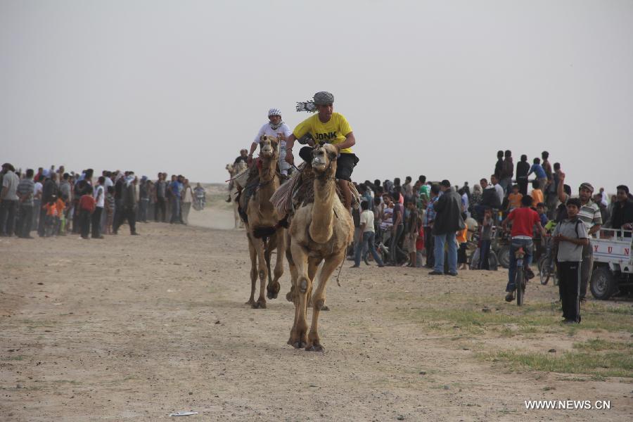 Palestinian jockeys take part in a traditional camel race during Rafah Camel Festival, held in the southern Gaza Strip city of Rafah on March 15, 2013. (Xinhua/Khaled Omar) 