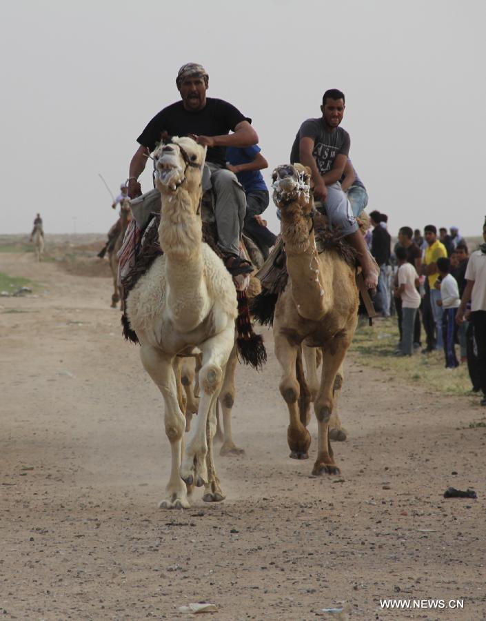 Palestinian jockeys take part in a traditional camel race during Rafah Camel Festival, held in the southern Gaza Strip city of Rafah on March 15, 2013. (Xinhua/Khaled Omar) 