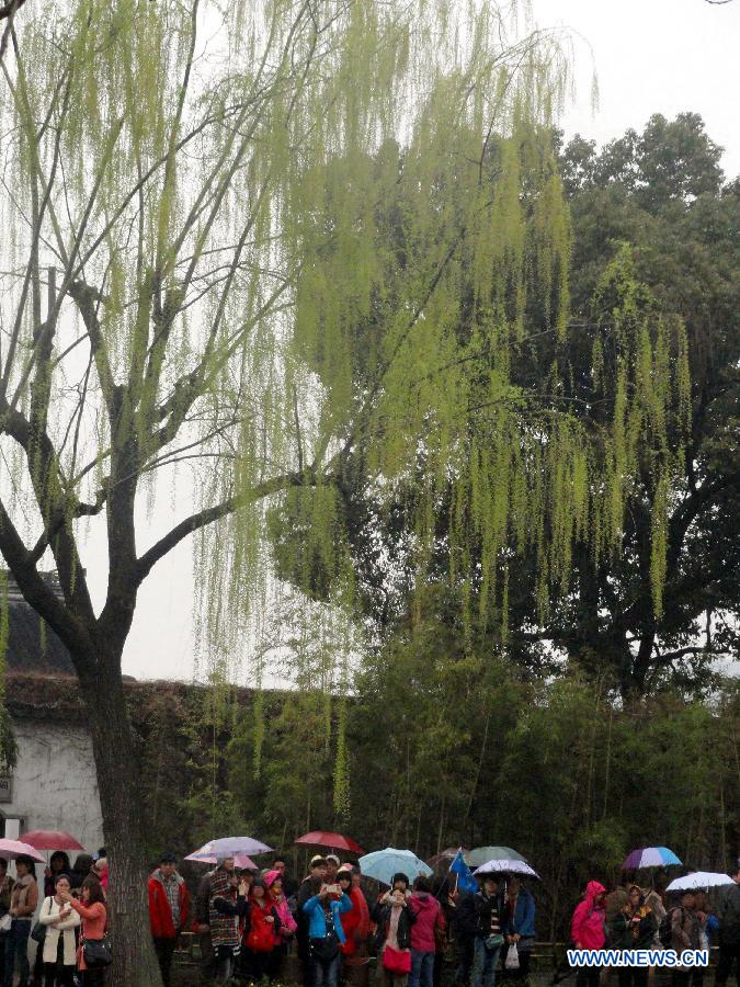 People enjoy early spring scenery in rain at Zhuozheng Garden (Humble Administrator's Garden) in Suzhou, east China's Jiangsu Province, March 17, 2013. (Xinhua/Wang Jiankang)