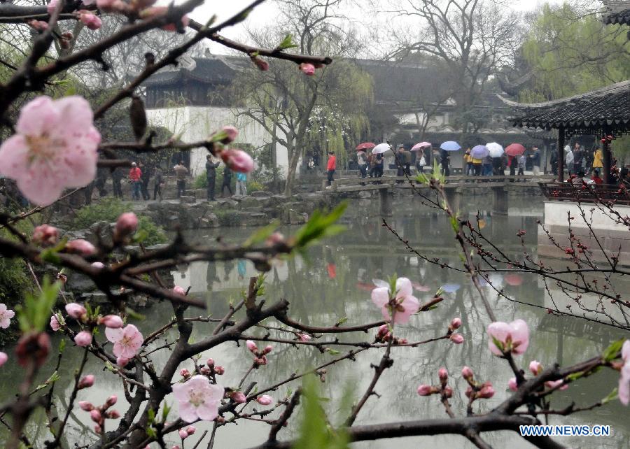 People enjoy early spring scenery in rain at Zhuozheng Garden (Humble Administrator's Garden) in Suzhou, east China's Jiangsu Province, March 17, 2013. (Xinhua/Wang Jiankang)