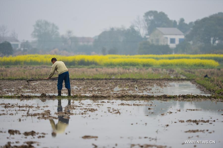 A farmer works on the farmland in Yuanjiang City of central China's Hunan Province, March 17, 2013. The preparation work of spring plowing began as temperature went up here in recent days. (Xinhua/Bai Yu) 