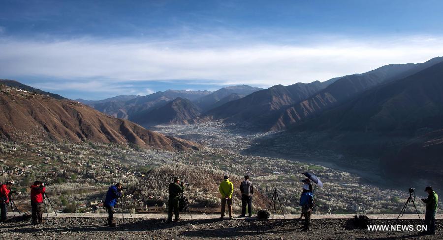 Amateur photographers gather to take photos of pear flower scenery in Sha'er Township of Jinchuan County, southwest China's Sichuan Province, March 17, 2013. The pear flower scenery here attracted a good many tourists. (Xinhua/Jiang Hongjing)