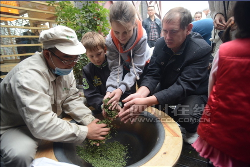 Guests experience tea-making process Sunday on the fourth China Tea Festival held Sunday in Pujiang County, Sichuan province. (Photo source: Scol.com.cn)