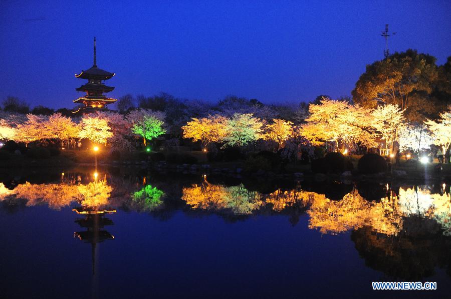 Photo taken on March 18, 2013 shows the night view of the Moshan Hill Scenic Spot with illuminated cherry trees, in Wuhan, capital of central China's Hubei Province. (Xinhua/Hao Tongqian)