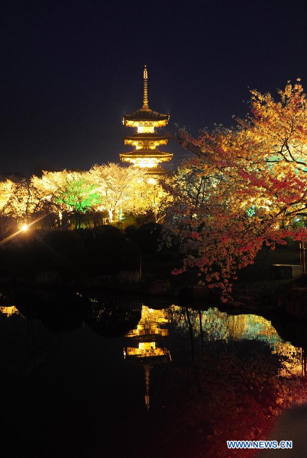 Photo taken on March 18, 2013 shows the night view of the Moshan Hill Scenic Spot with illuminated cherry trees, in Wuhan, capital of central China's Hubei Province. (Xinhua/Hao Tongqian)