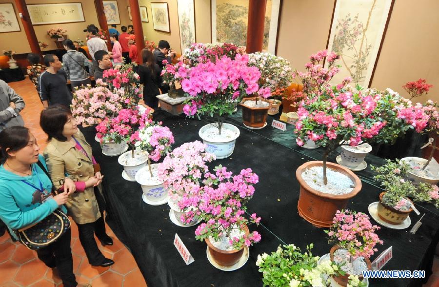 Visitors view azalea flowers at the first Fuzhou Azalea Cultural Festival in Fuzhou, capital of southeast China's Fujian Province, March 19, 2013. The festival kicked off on Tuesday, displaying over 100 species of azalea flowers. (Xinhua/Lin Shanchuan)