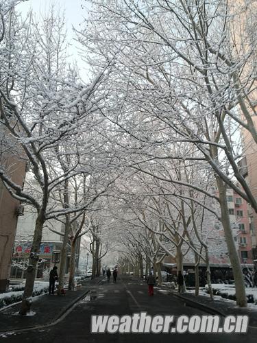 Buildings and streets are covered by thick snow, Beijing, March 20, 2013. A cold front brought rain and heavy snow to most parts of Beijing on Tuesday and temperature dropped dramatically below freezing at night, a sharp contrast to Monday which experienced a warm and comfortable early spring day. (Photo/weather.com.cn)