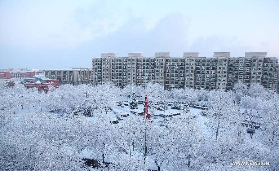Branches of trees are blanketed with snow in the Shijicheng residential community in Beijing, capital of China, March 20, 2013. Beijing witnessed a snowfall with a depth reaching 10-17 centimeters overnight. The snowfall happened to hit the city on the Chinese traditional calendar date of Chunfen, which heralds the beginning of the spring season. Chunfen, which literally means Spring Equinox or Vernal Equinox, falls on the day when the sun is exactly at the celestial latitude of zero degrees. (Xinhua/Ma Zhihong)