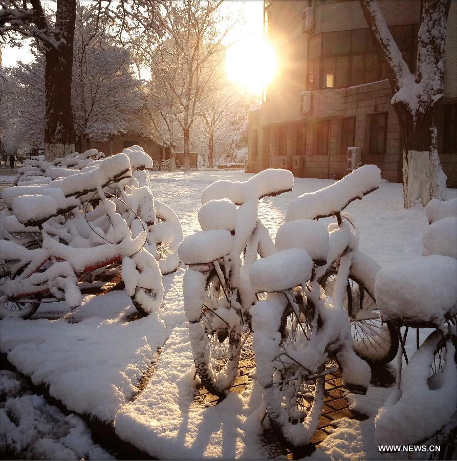 Photo taken on March 20, 2013 with a cell phone shows bicycles covered with snow on the campus of Beijing Jiaotong University in Beijing, capital of China. Beijing witnessed a snowfall with a depth reaching 10-17 centimeters overnight. The snowfall happened to hit the city on the Chinese traditional calendar date of Chunfen, which heralds the beginning of the spring season. Chunfen, which literally means Spring Equinox or Vernal Equinox, falls on the day when the sun is exactly at the celestial latitude of zero degrees. (Xinhua/Pan Chaoyue)