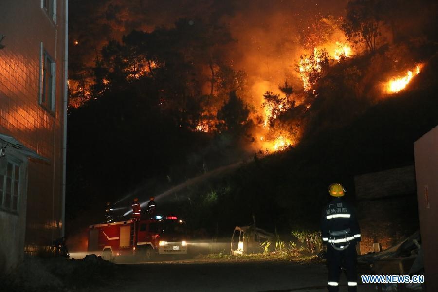 Firefighters fight against a forest fire in Wuzhou City, southwest China's Guangxi Zhuang Autonomous Region, on March 21, 2013. The fire broke out at around 17:00 Thursday. (Xinhua/Ye Guiru)