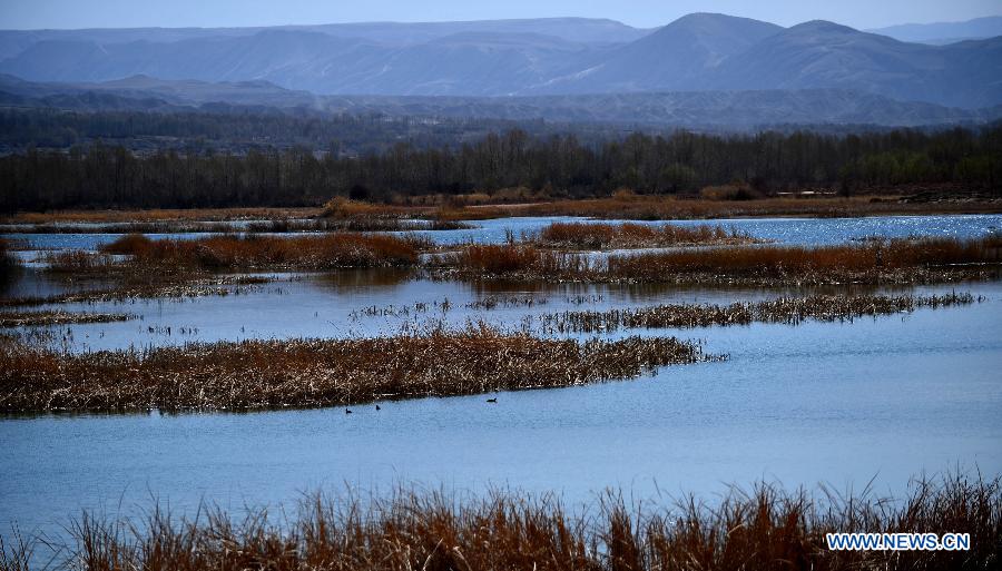 Photo taken on March 21, 2013 shows a scenic view of the Qianzi Lake near the Yellow River in Guide County of the Hainan Tibet Autonomous Prefecture, northwest China's Qinghai Province. (Xinhua/Wang Bo)