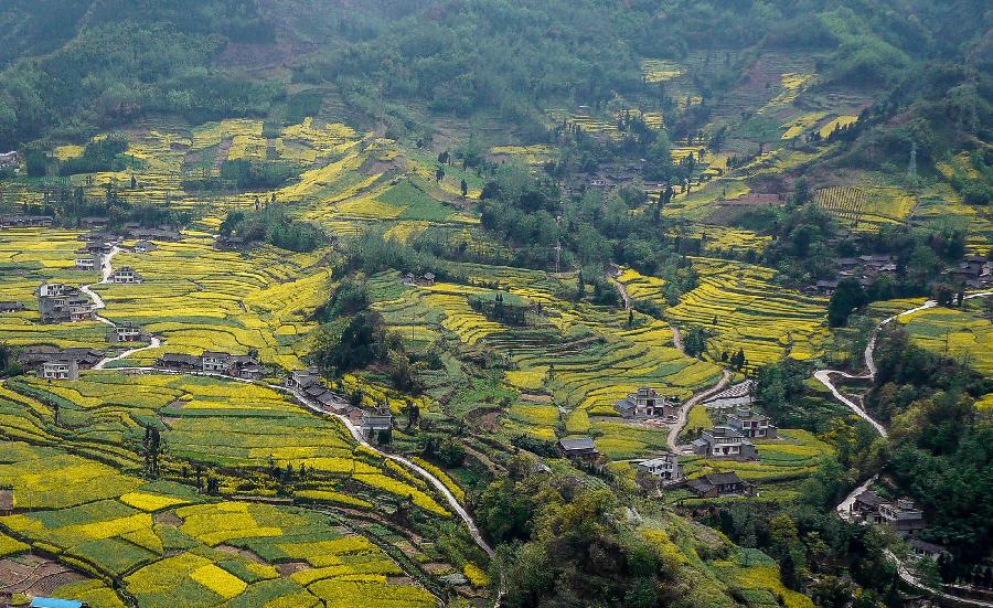 Photo taken on March 20, 2013 shows the aerial view of Siyan Township in Lushan County, southwest China's Sichuan Province. Located at where the Sichuan Basin and the Qinghai-Tibet Plateau meet, Lushan County boasts beautiful and diversified landscape. (Xinhua)