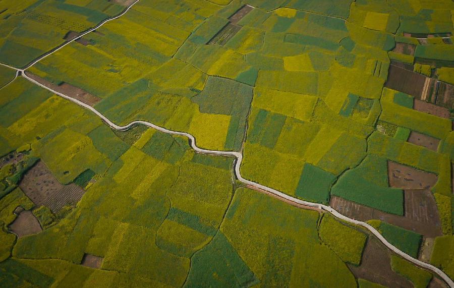 Photo taken on March 21, 2013 shows the aerial view of Longmen Township in Lushan County, southwest China's Sichuan Province. Located at where the Sichuan Basin and the Qinghai-Tibet Plateau meet, Lushan County boasts beautiful and diversified landscape. (Xinhua)