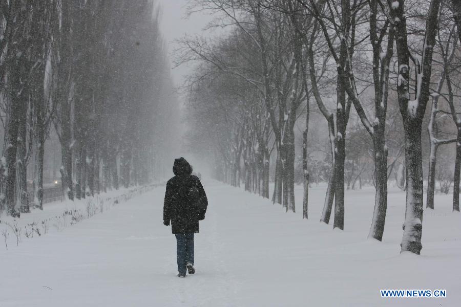 A pedestrian walks in heavy snow in Kiev, capital of Ukraine, March 22, 2013. Heavy snow hit Kiev on Friday, disturbing traffic here. (Xinhua/Mu Liming)  