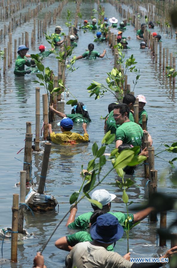 School children and their parents plant mangrove trees to mark the World Water Day in the Natural Park Angke in Jakarta, Indonesia, March 23, 2013. The World Water Day falls on March 22. (Xinhua/Zulkarnain)