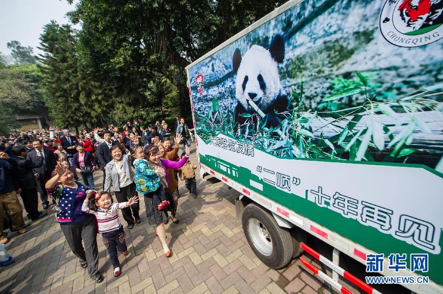 People in Chongqing say goodbye to Ershun, one of a pair of pandas that will leave China for Canada on March 25 and stay for 10 years. They will be the first pair of pandas to visit Canada since the 1980s. 