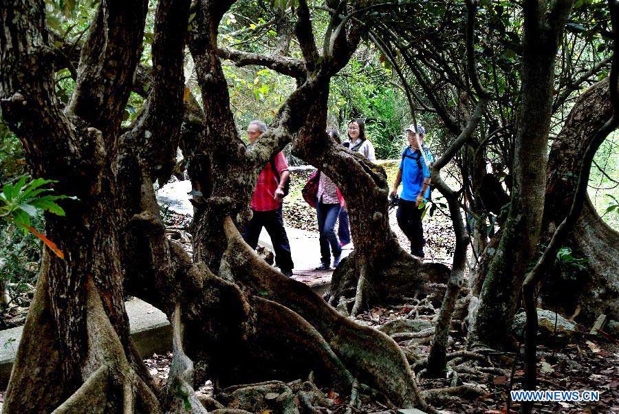 Tourists visit Lai Chi Wo Peninsula for a weekend vacation in south China's Hong Kong, March 24, 2013. (Xinhua/Chen Xiaowei)