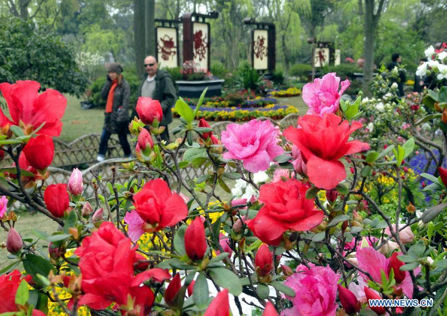 Visitors walk past azalea blossoms at the Humble Administrator's Garden in Suzhou City, east China's Jiangsu Province, March 28, 2013. (Xinhua/Wang Jiankang)