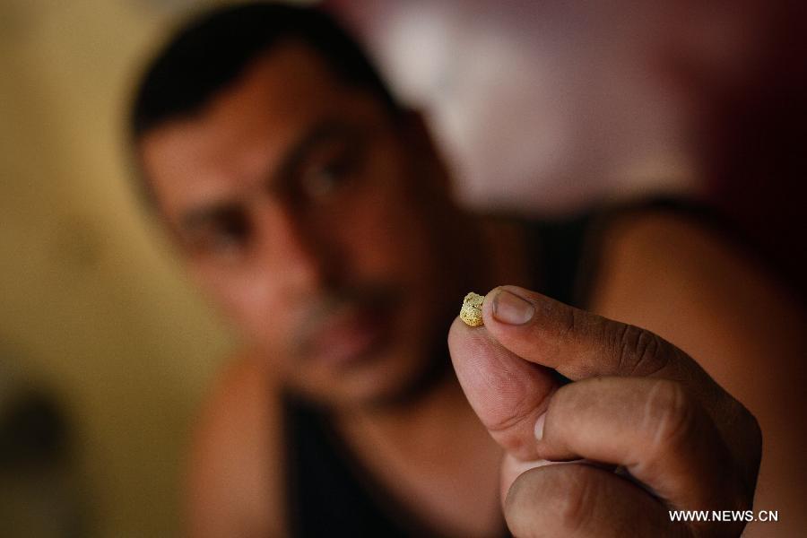 Image taken on March 26, 2013 shows a miner holding gold fragments extracted from a mine at the municipality of Suarez, in Cauca, Colombia. Suarez is known for its gold deposits and mines. Around 80 percent of its population works searching for gold, despite the ongoing dispute with multinational companies and groups operating outside the law. (Xinhua/Jhon Paz) 