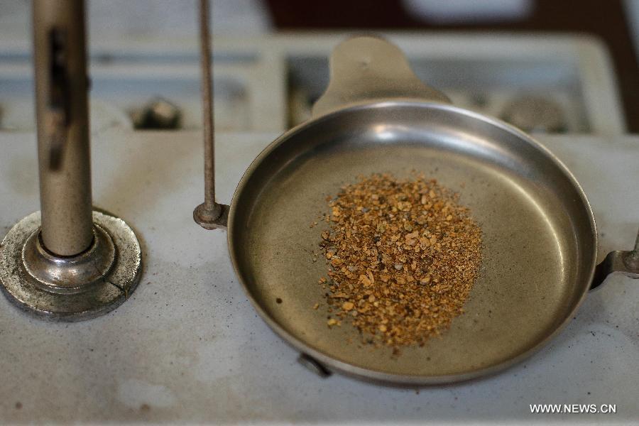 Image taken on March 26, 2013 shows gold fragments extracted from a mine at the municipality of Suarez, in Cauca, Colombia. Suarez is known for its gold deposits and mines. Around 80 percent of its population works searching for gold, despite the ongoing dispute with multinational companies and groups operating outside the law. (Xinhua/Jhon Paz) 