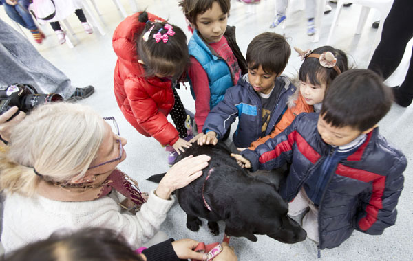 A dog that can provide medical assistance has contact with pupils at Beijing City International School on Thursday. The activity is aimed at helping people understand the importance of dogs working in various fields. (Photo by Zhao Bing/ Xinhua)