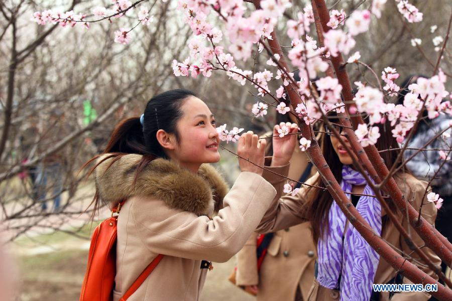 Tourists enjoy the scenery of peach blossoms in Hongqiao District of north China's Tianjin Municipality, March 28, 2013. The seven-day 2013 Tianjin canal peach blossom tourism festival kicked off on Thursday. (Xinhua/Liu Dongyue)