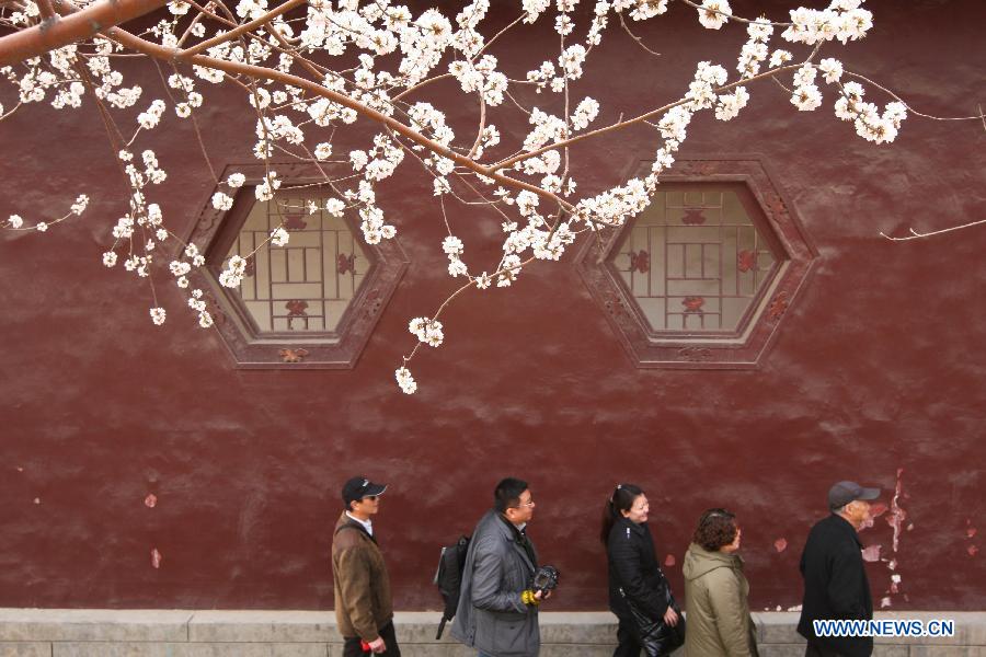 Tourists walk under peach blossoms in Hongqiao District of north China's Tianjin Municipality, March 28, 2013. The seven-day 2013 Tianjin canal peach blossom tourism festival kicked off on Thursday. (Xinhua/Fu Wenchao)