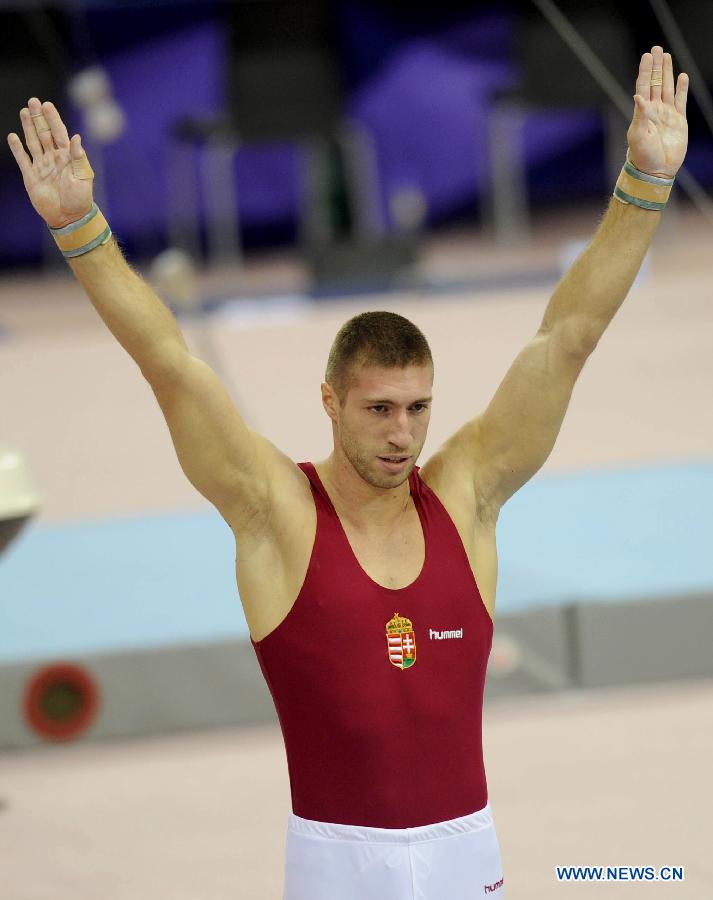 Krisztian Berki of Hungary competes during Men's Pommel Horse enent at the FIG Artistic Gymnastics World Challenge cup in Doha, capital of Qatar, March 28, 2013. Berki won the gold with 15.450. (Xinhua/Chen Shaojin)