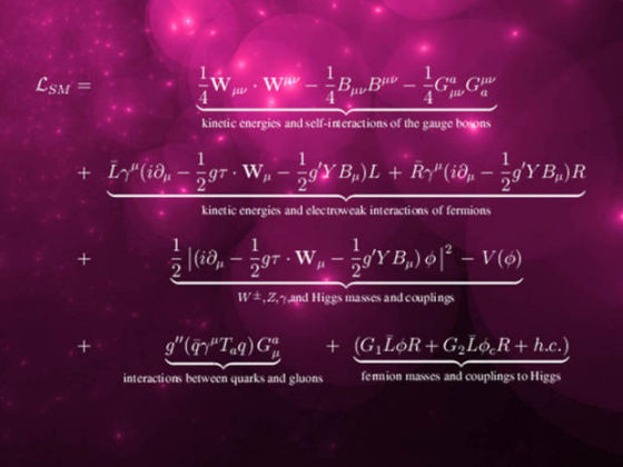 Standard model (Source: Science and Technology Daily)