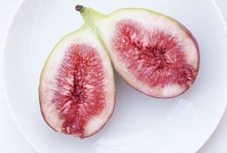 Fig (Source: nen.com.cn)