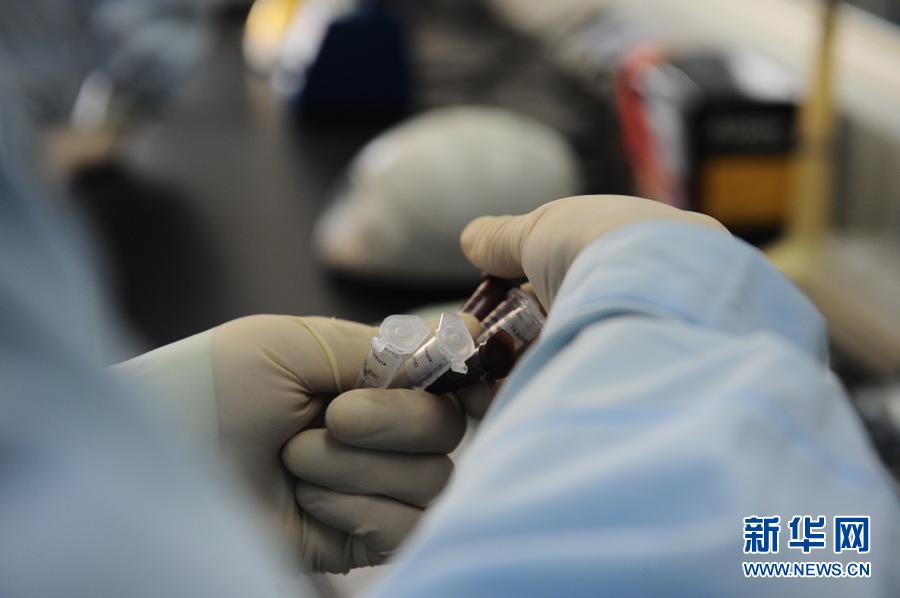 Test technicians standardize the testing process of the H7N9 avian influenza in laboratory. Beijing Center for Disease Control and Prevention (Beijing CDC) received the H7N9 laboratory detection reagents from the national CDC on April 3, 2013. (Xinhua/Li Xin)