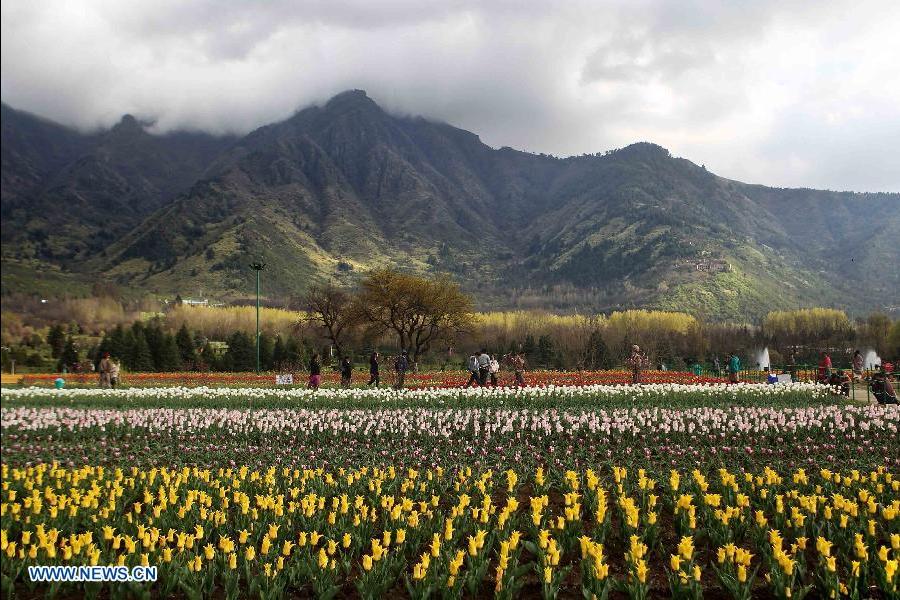 (130403) -- SRINAGAR, April 3, 2013 (Xinhua) -- A tourist takes photographs of a woman amid tulips in a tulip garden in Srinagar, summer capital of Indian-controlled Kashmir, April 3, 2013. The Tulip Garden in Indian-controlled Kashmir has become the prime attraction for visiting foreign and domestic tourists, officials said. (Xinhua/Javed Dar) 