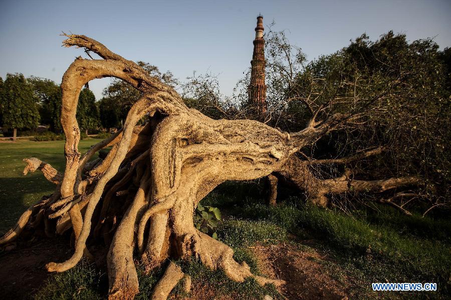 Photo taken on April 5, 2013 shows the top part of Qutab Minar in New Delhi, India. Qutab Minar, a UNESCO World Heritage Site, is the tallest minaret in India. It is 75.56 metres high with a base a diameter of 14.3 metres, which narrows to 2.7 metres at the top storey. The minar is made of red sandstone and marble, and covered with intricate carvings. The construction of Qutab Minar started in 1193 by Qutub-ud-din Aibak and was completed by his inheritor Iltutmish. It is surrounded by several other ancient and medieval structures and ruins, collectively known as the Qutub complex, which attracts many visitors till now. (Xinhua/Zheng Huansong)