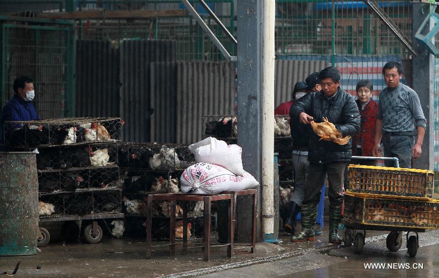 Workers conduct innocuous disposal of live poultry at the Sanguantang poultry and egg market in Shanghai, east China, April 5, 2013. The government of Shanghai Municipality said on Friday sales of live poultry will be suspended in the municipality from April 6 as the H7N9 strain of avian influenza has sickened 14 people and killed six. (Xinhua/Ding Ting) 