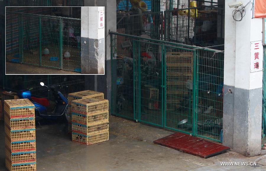 The combined photo taken on April 5, 2013 shows workers encase live poultry at the Sanguantang poultry and egg market (big picture) and parts of the live poultry area have been cleaned at the same market (small picture) in Shanghai, east China. The government of Shanghai Municipality said on Friday sales of live poultry will be suspended in the municipality from April 6 as the H7N9 strain of avian influenza has sickened 14 people and killed six. (Xinhua/Ding Ting)