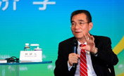 Lin Yifu speaks on new structural economics