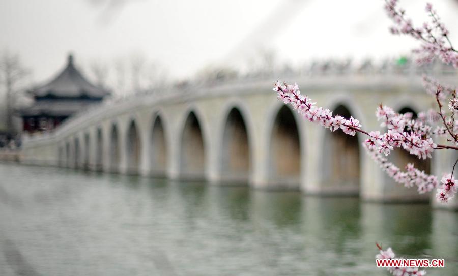 Peach flowers blossom near the Seventeen Arch Bridge in the Summer Palace in Beijing, capital of China, April 4, 2013. (Xinhua/Chen Yehua)