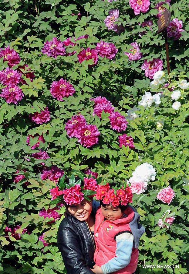 Visitors pose for photos with peony flowers at a park in Luoyang City, central China's Henan Province, April 9, 2013. (Xinhua/Wang Song)