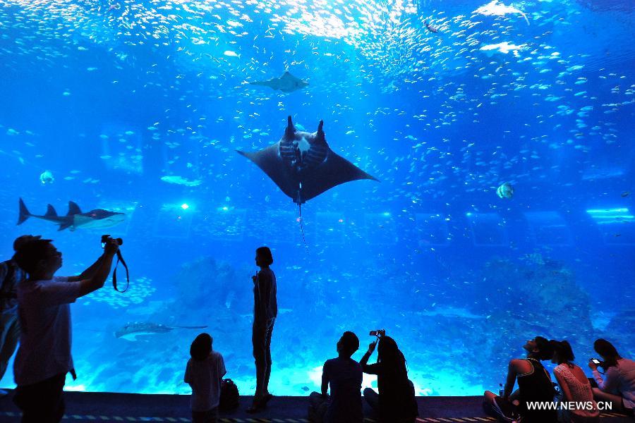 People visit the Resorts World Sentosa's S.E.A Aquarium in Singapore, April 9, 2013. The aquarium, is the official record holder of the two Guinness World Records - for the world's largest aquarium and for the world's largest acrylic panel in its Ocean Gallery, according to the announcement of the Resorts World Sentosa. (Xinhua/Then Chih Wey) 